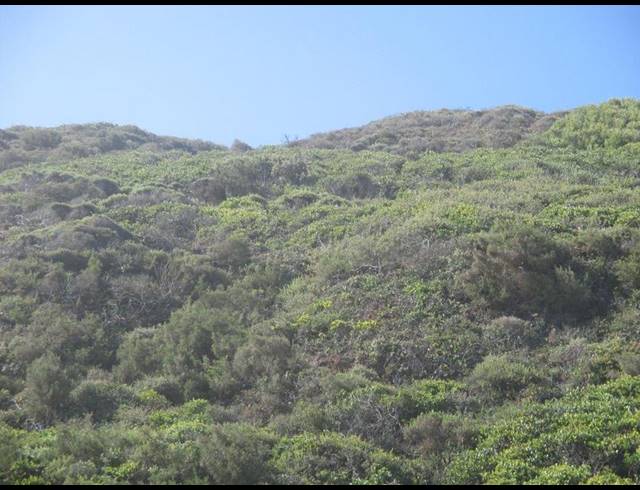 LAND FOR SALE IN DANA BAY